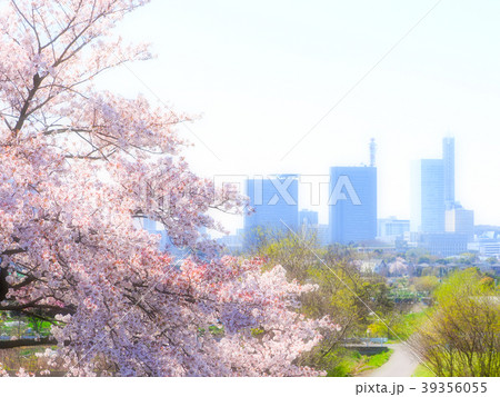 桜とさいたま新都心 39356055