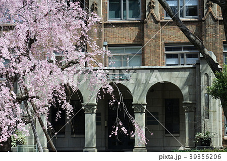 東京大学 39356206
