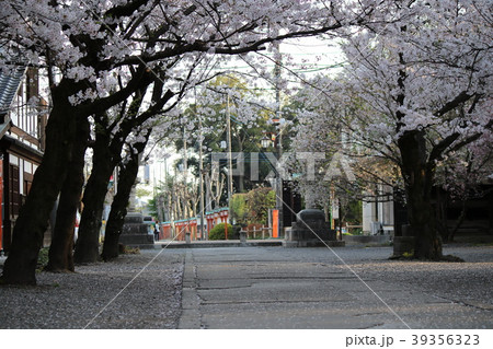 埼玉県熊谷市妻沼聖天山参道 埼玉県熊谷市妻沼聖天山参道 39356323