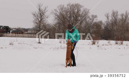 Beautiful woman is holding her dog on leash Beautiful woman is holding her dog on leash 39356752