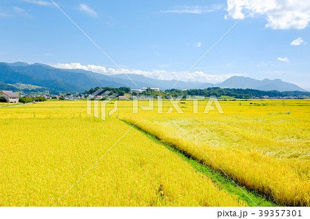 秋の農村風景 ９月 の写真素材