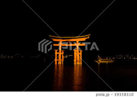 厳島神社の大鳥居のライトアップ 39358310