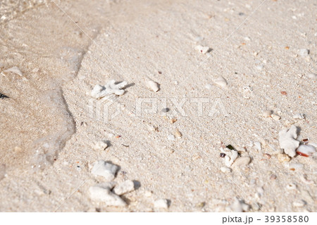 砂浜とサンゴ礁 39358580