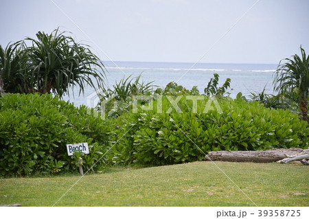 ビーチへの入り口 39358725