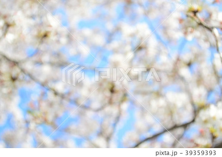 玉ボケした桜の花と青空 玉ボケした桜の花と青空 39359393