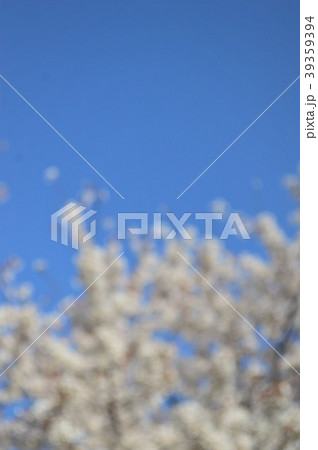 玉ボケした桜の花と青空 玉ボケした桜の花と青空 39359394