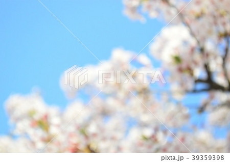 玉ボケした桜の花と青空 玉ボケした桜の花と青空 39359398