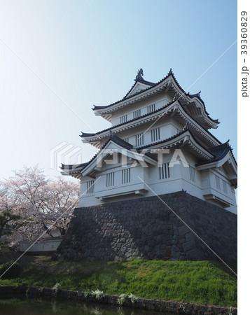 忍城と桜 39360829