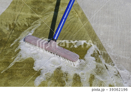 Washing carpet with brush 39362196