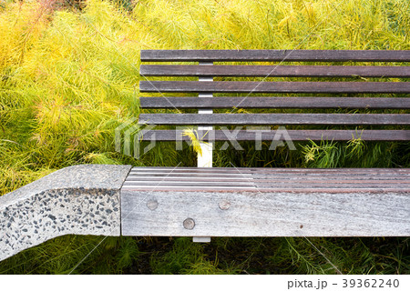 Modern urban park bench, High Line, New York 39362240