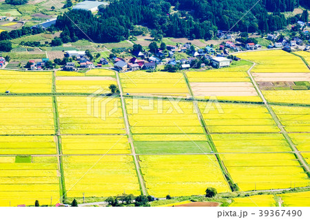 秋の農村風景（９月） 39367490