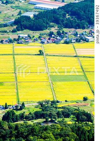 秋の農村風景(9月) 秋の農村風景(9月) 39367492
