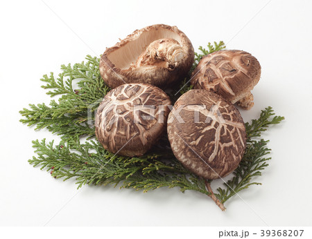 原木椎茸 39368207