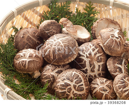 原木椎茸 39368208