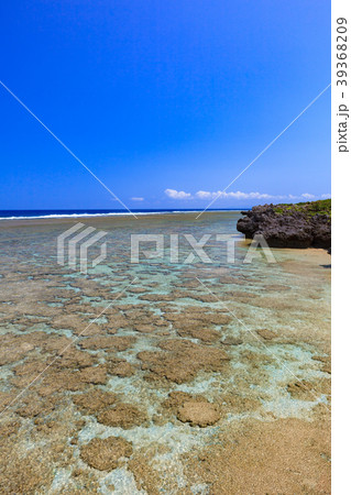 武士家から見えた景色 39368209