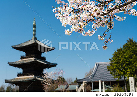 桜咲く春の寺院の風景 39368693