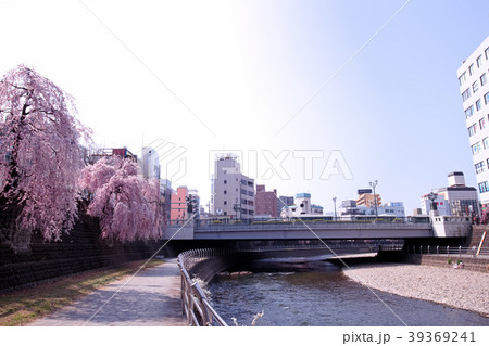 宇都宮市 田川と枝垂桜 宇都宮市 田川と枝垂桜 39369241