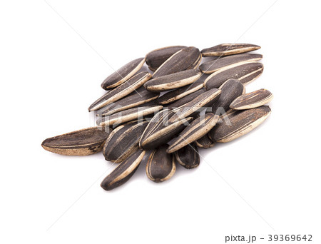 sunflower seed on white background 39369642