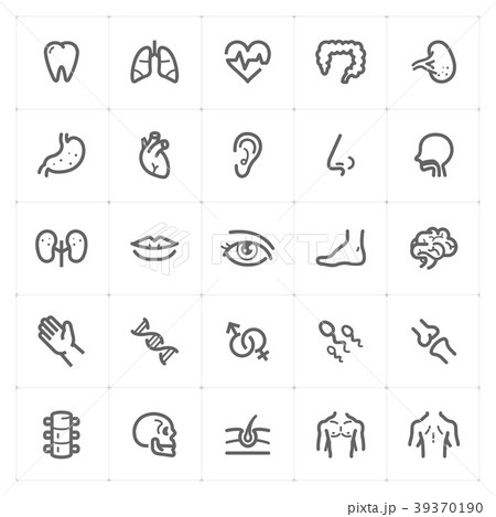 Mini Icon set – Human Anatomy icon vector 39370190