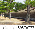 寺　土塀　松 39370777