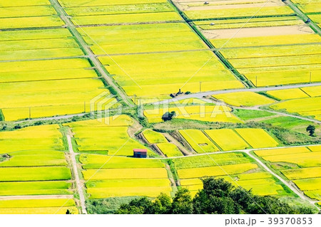 秋の農村風景(9月) 秋の農村風景(9月) 39370853