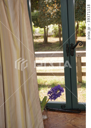 158　風信子ハウス 39371118