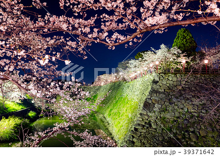 奈良県 大和郡山市 郡山城 夜桜 奈良県 大和郡山市 郡山城 夜桜 39371642