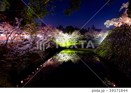 奈良県 大和郡山市 　郡山城 夜桜 39371644