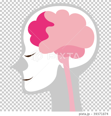 脳のイメージイラスト ボディグレー 脳のイメージイラスト ボディグレー 39371874
