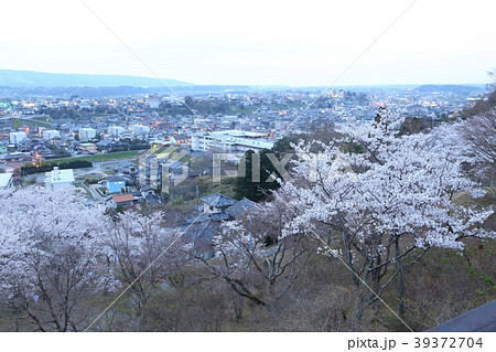 西山公園の桜 日の出前 茨城県常陸太田市 西山公園の桜 日の出前 茨城県常陸太田市 39372704