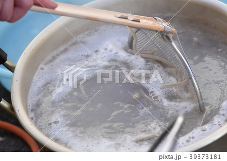 親子　ソバ打ち　体験　sdgs 食料自給　食糧危機　高尾野町　出水市　鹿児島県 39373181