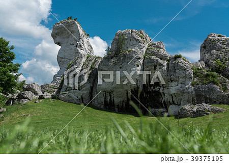 Limestone rocks at the Ogrodzieniec castle terrain Limestone rocks at the Ogrodzieniec castle terrain 39375195