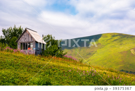 abandoned woodshed on grassy hillside 39375367
