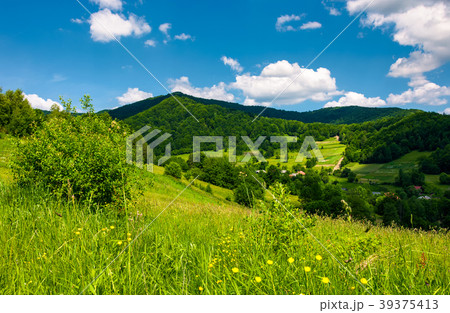 grassy hillside of mountainous countryside grassy hillside of mountainous countryside 39375413