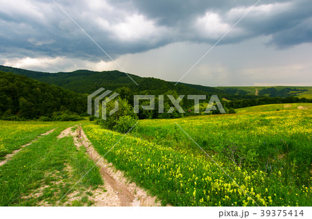 country road down the hill through the field 39375414