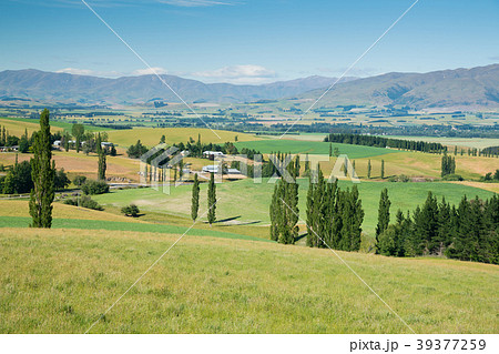 New Zealand high hill green glass New Zealand high hill green glass 39377259