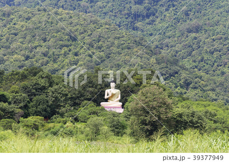 Big buddha statue on the mountain. 39377949