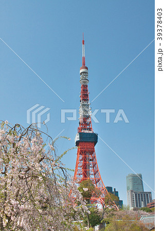 桜の中にそびえ立つ東京タワー 桜の中にそびえ立つ東京タワー 39378403