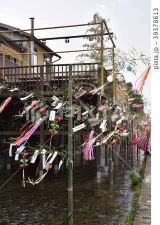 京の七夕　鴨川の七夕飾り 39378613
