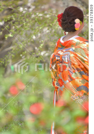 和装ウェディング 39378809