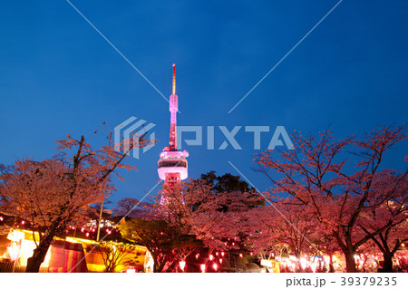 宇都宮市　八幡山公園　花見広場 39379235