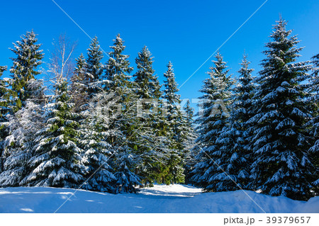 Winter with snow in the Giant Mountains 39379657