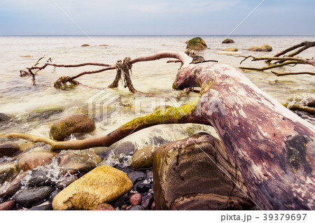 Baltic Sea coast on the island Ruegen, Germany Baltic Sea coast on the island Ruegen, Germany 39379697