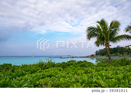 沖縄 名護市 ブセナ海中公園 39381011