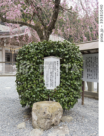 小国神社の家康公立ちあがり石（静岡県周智郡森町） 39381040