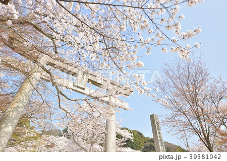 竈門神社 39381042