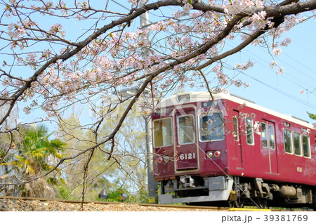 兵庫県 西宮市 夙川公園の桜と電車 兵庫県 西宮市 夙川公園の桜と電車 39381769