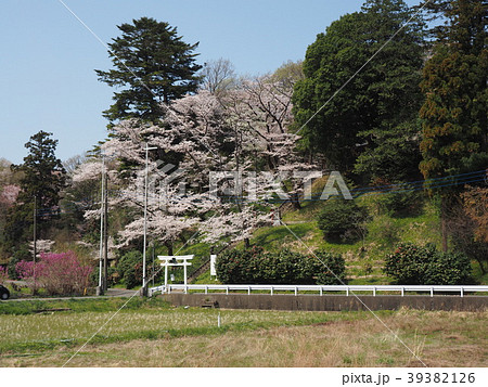 寺家　里山 39382126