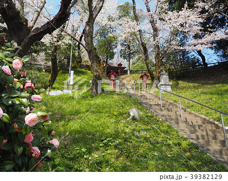 寺家 里山 寺家 里山 39382129