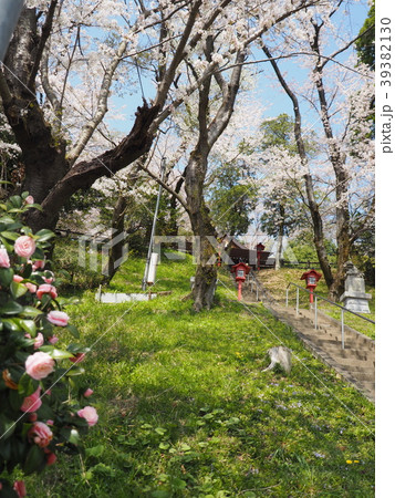 寺家 里山 寺家 里山 39382130